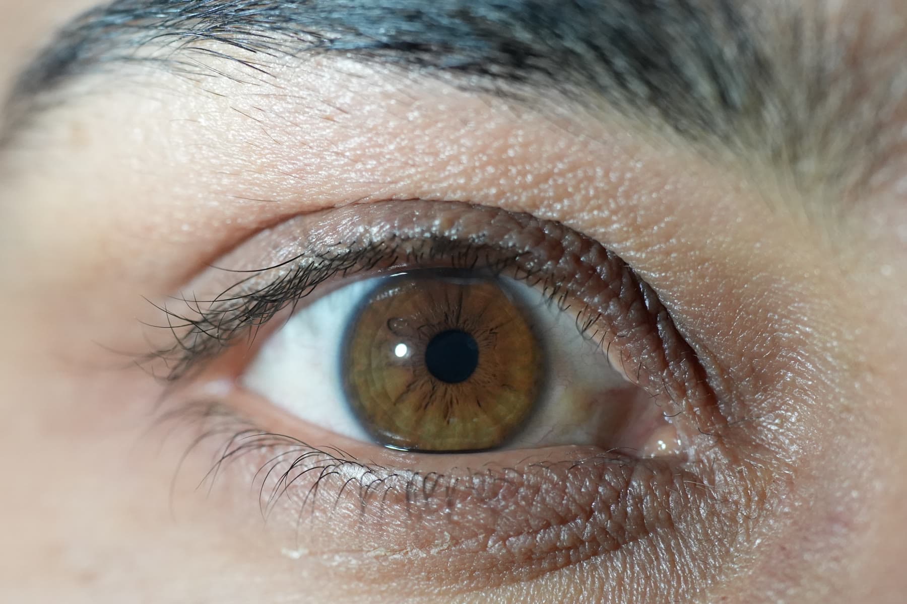 Fotografía original de un ojo antes de prepararla con IrisTool