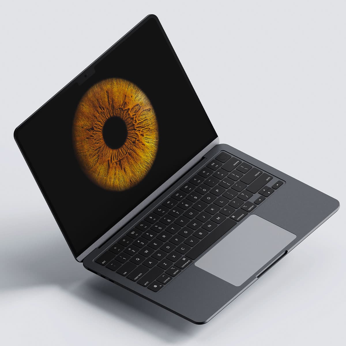 Archivos digitales de fotografías artísticas de iris